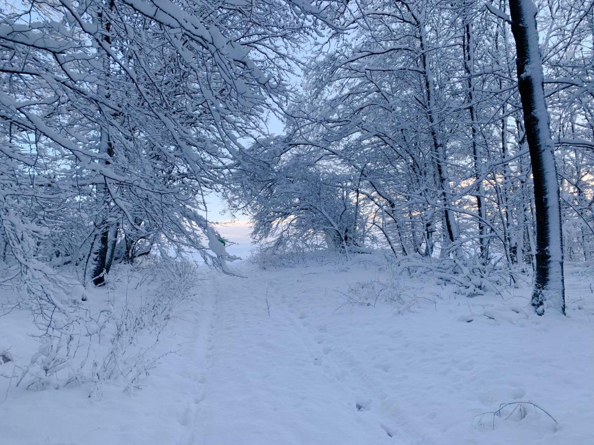 Ferienwohnung Inmitten Der Natur Mit Sauna Steinau an der Straße Extérieur photo